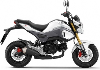 Honda MSX 125 Grom uitlaat