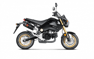 Akrapovic Slip-On Line Carbon met E-keur Honda MSX 125 / Grom 2013 2015