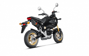 Akrapovic Slip-On Line Carbon met E-keur Honda MSX 125 / Grom 2013 2015
